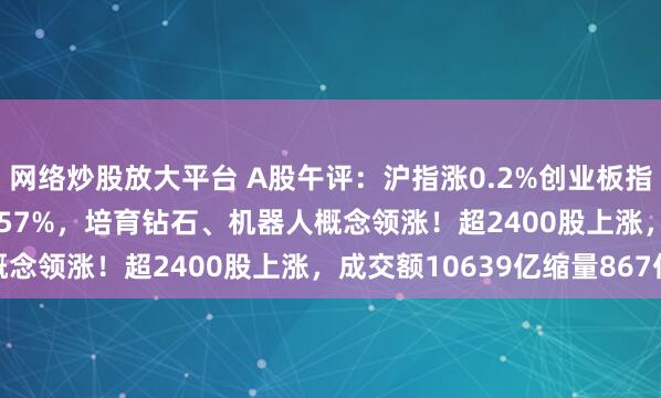 网络炒股放大平台 A股午评：沪指涨0.2%创业板指跌0.35%北证50涨1.57%，培育钻石、机器人概念领涨！超2400股上涨，成交额10639亿缩量867亿