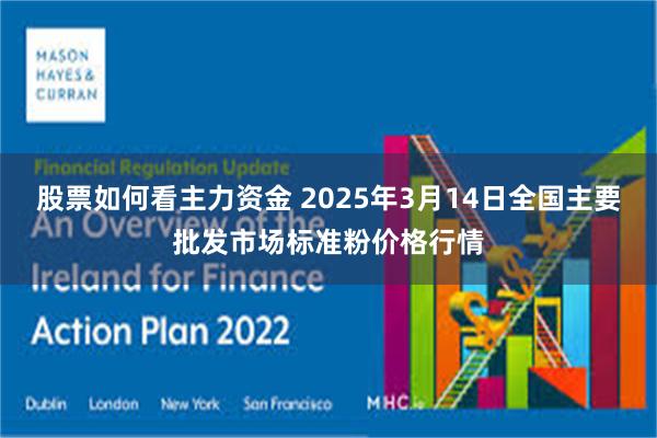 股票如何看主力资金 2025年3月14日全国主要批发市场标准粉价格行情