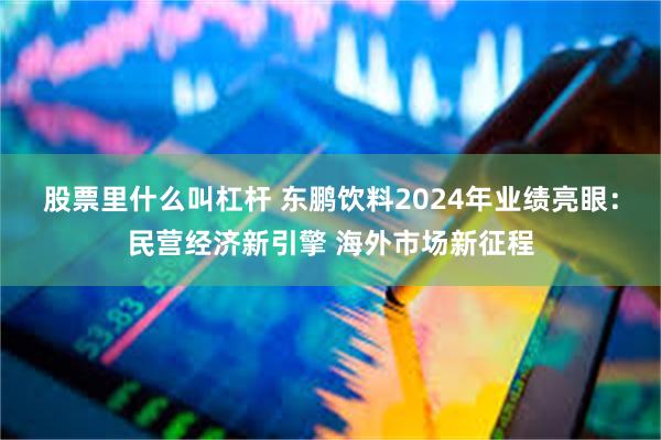 股票里什么叫杠杆 东鹏饮料2024年业绩亮眼：民营经济新引擎 海外市场新征程