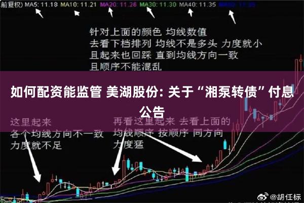 如何配资能监管 美湖股份: 关于“湘泵转债”付息公告