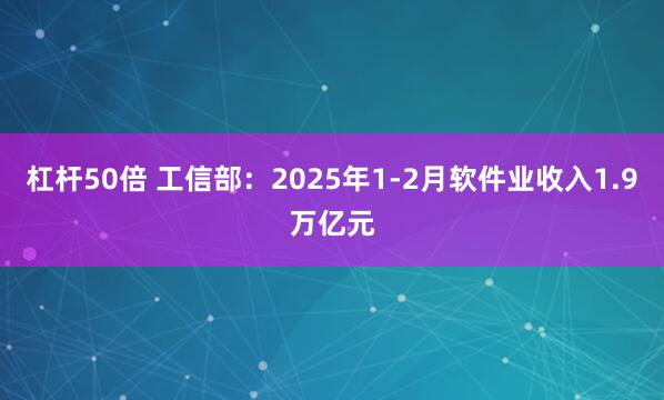 杠杆50倍 工信部：2025年1-2月软件业收入1.9万亿元