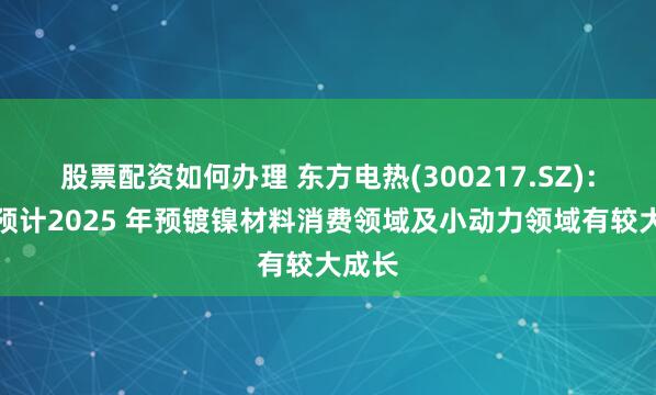 股票配资如何办理 东方电热(300217.SZ)：公司预计2025 年预镀镍材料消费领域及小动力领域有较大成长