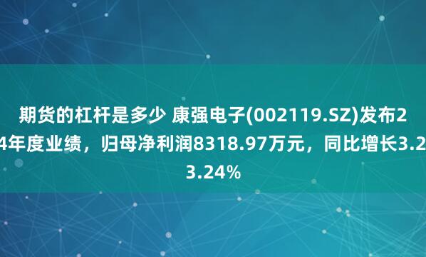期货的杠杆是多少 康强电子(002119.SZ)发布2024年度业绩，归母净利润8318.97万元，同比增长3.24%