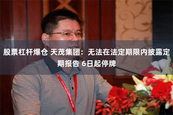 股票杠杆爆仓 天茂集团：无法在法定期限内披露定期报告 6日起停牌