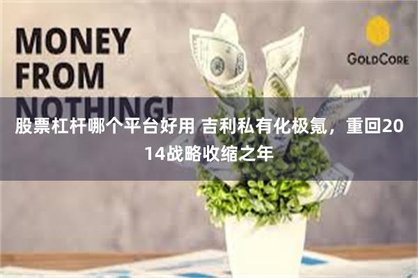 股票杠杆哪个平台好用 吉利私有化极氪，重回2014战略收缩之年