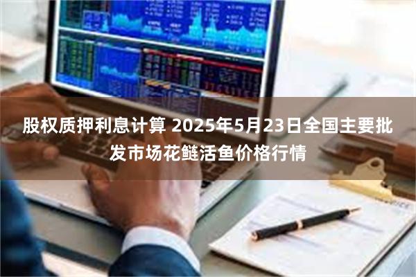 股权质押利息计算 2025年5月23日全国主要批发市场花鲢活鱼价格行情