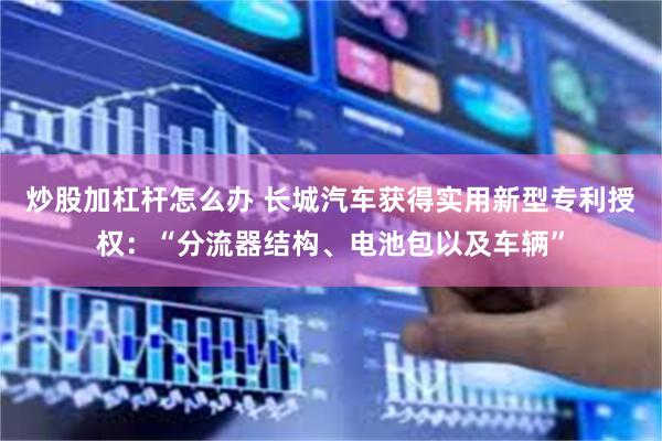 炒股加杠杆怎么办 长城汽车获得实用新型专利授权：“分流器结构、电池包以及车辆”